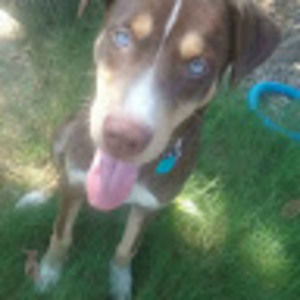 Meet your Posher, Robinelle